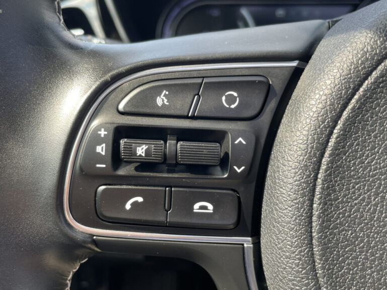 kia-e-niro-20-1000x750